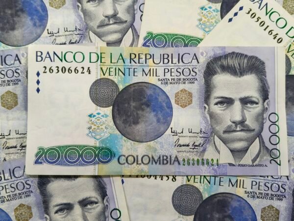 BILLETE DE 20.000 JULIO GARAVITO 1999