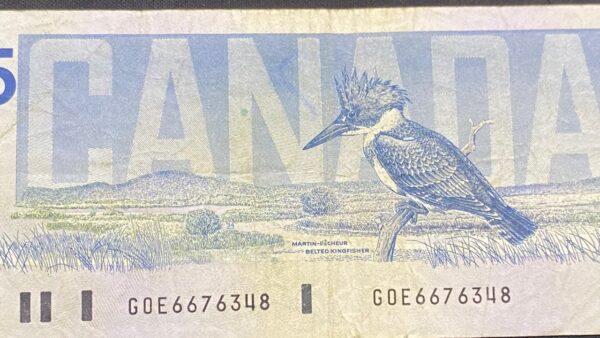 Billete 5 Dólares Canadá 1986 | Serie Aves de Canadá